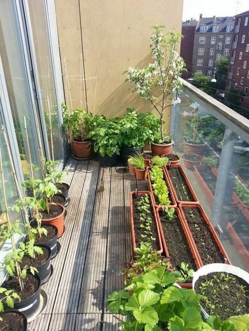 35 Balcony Gardens that Teach "Grow More in Less Space" 7