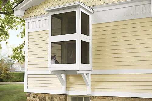Catio For your Kitty