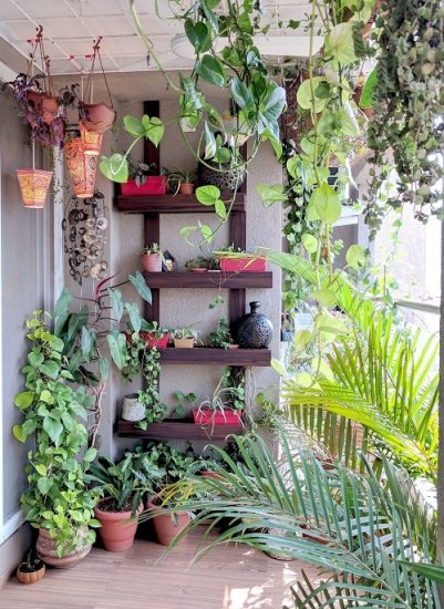 35 Balcony Gardens that Teach 