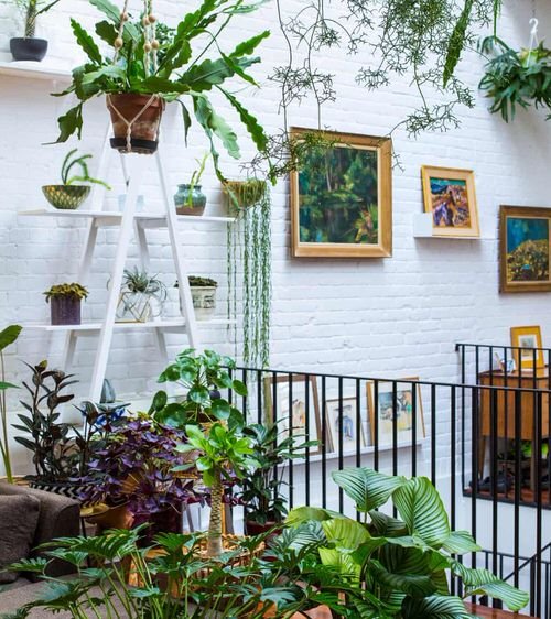 Unique Ways to Use Ladders to Display Houseplants 7