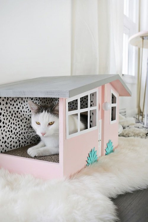 Palm Spring Cat House