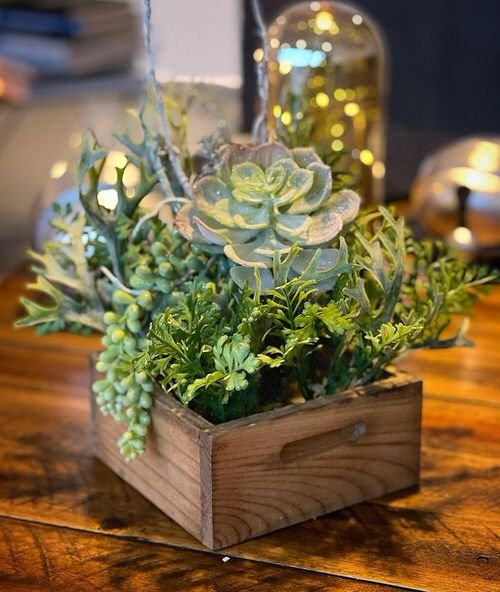 Eye-Catching Succulent Christmas Table Decoration Designs 17