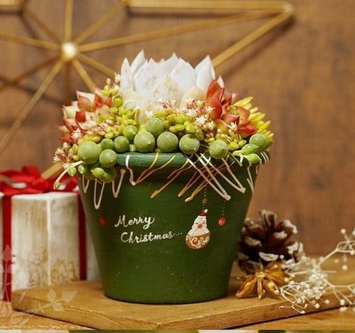 Eye-Catching Succulent Christmas Table Decoration Designs 16