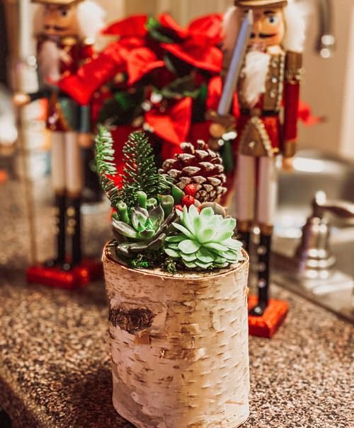 Eye-Catching Succulent Christmas Table Decoration Designs 20