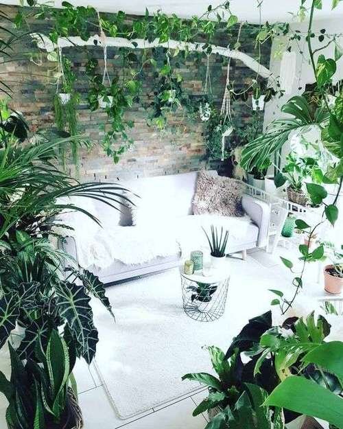 Living Room with Garden Ideas 5