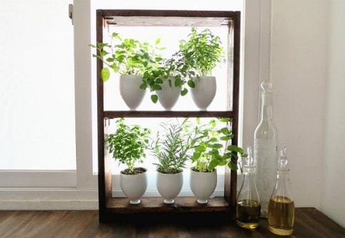 Really Clever Window Herb Planter Ideas for City Gardeners 6