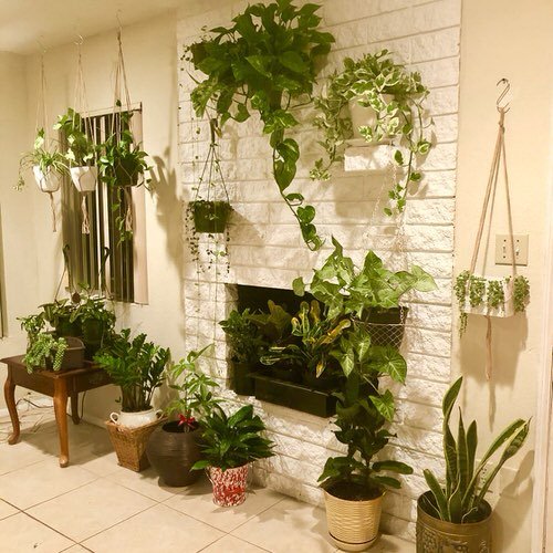 Living Room with Garden Ideas 9