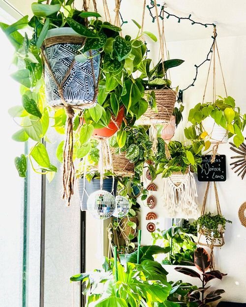 Indoor Plants Trailing from the Wall Ideas 8