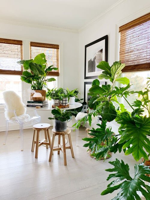 Coffee Spot in Home Ideas with Plants 9