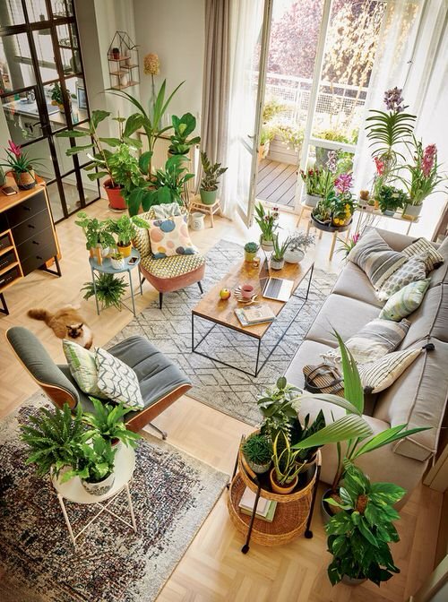 Living Room with Garden Ideas 11