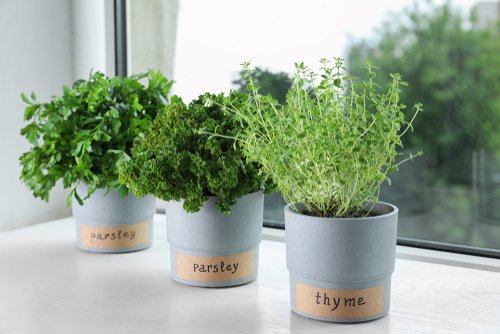 Really Clever Window Herb Planter Ideas for City Gardeners