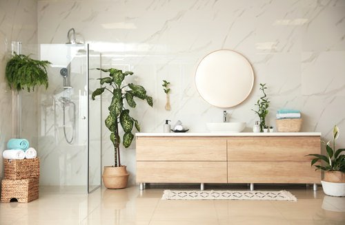Bathroom Design Ideas with Plants 2