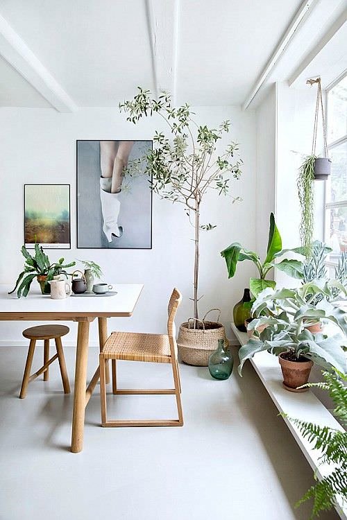 Coffee Spot in Home Ideas with Plants 5