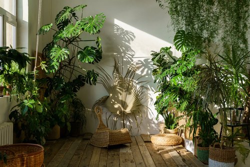 Living Room with Garden Ideas 3