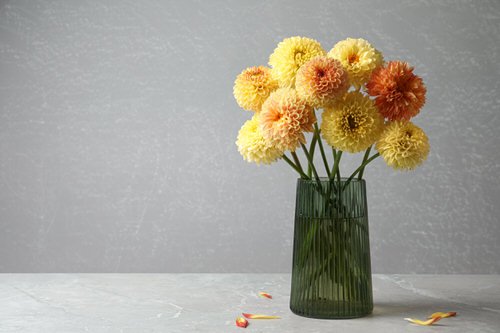 Cut Flowers You Can Re-grow from Bouquet 5