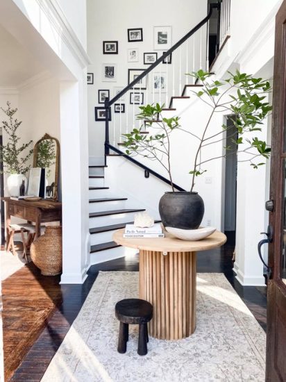 32 Beautiful Entryway Décor Ideas with Plants