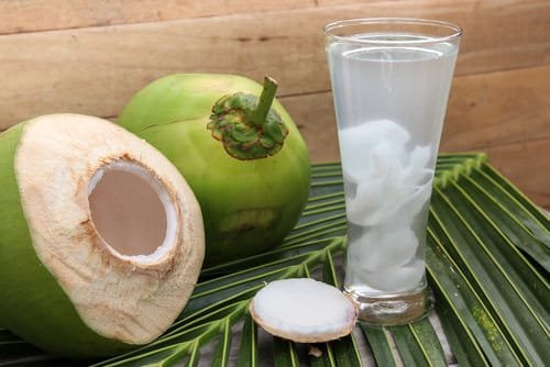 How Coconut Water for Plants is the Most Amazing Organic Fertilizer