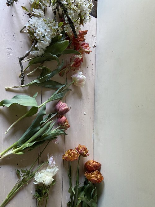 Cut Flowers You Can Re-grow from Bouquet 6