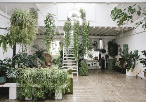 Indoor Plants Trailing from the Wall Ideas 4