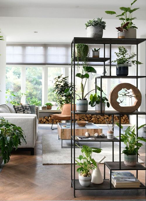 How to Decorate Every Part of Your Home with Plants 6