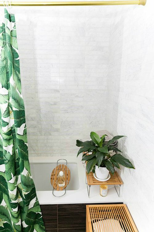 Rental Bathroom Plant Decor Ideas 25