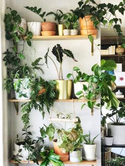 26 Creative Ways on How to Decorate Every Part of Your Home with Plants