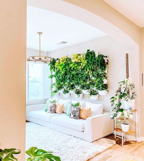 Indoor Plant Wall Decor Ideas 6