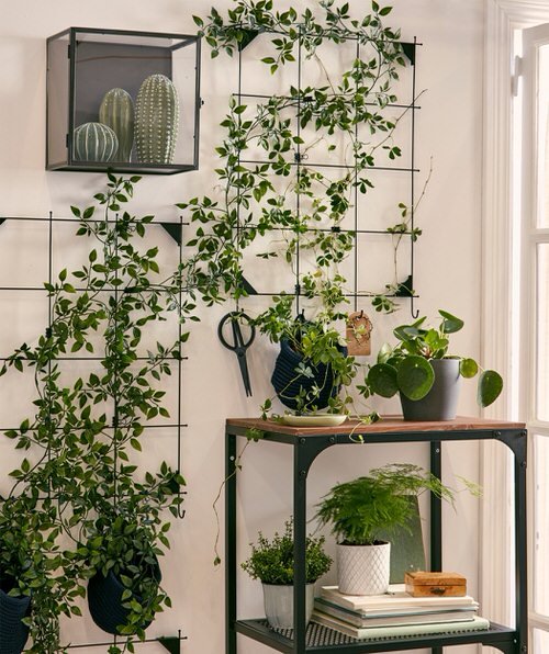 Indoor Plant Wall Decor Ideas 41