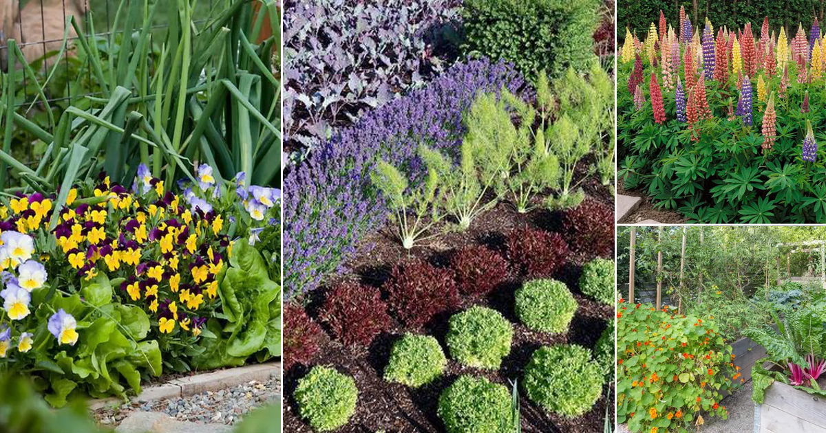 18 Best Flowers for Attracting Pollinators to a Vegetable Garden