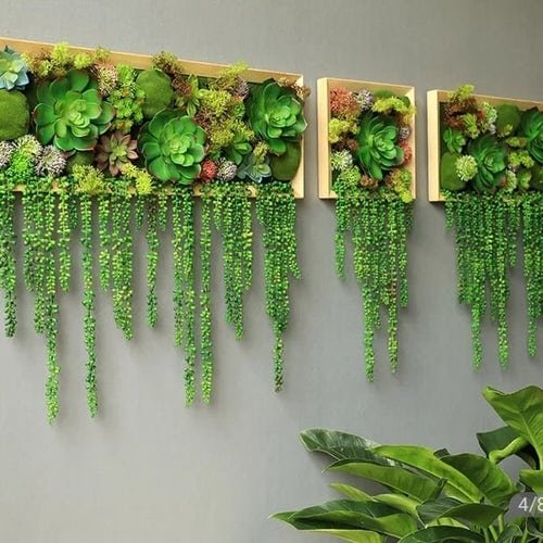 Succulents in Hanging Wooden Boxes