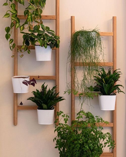 Indoor Plant Wall Decor Ideas 31