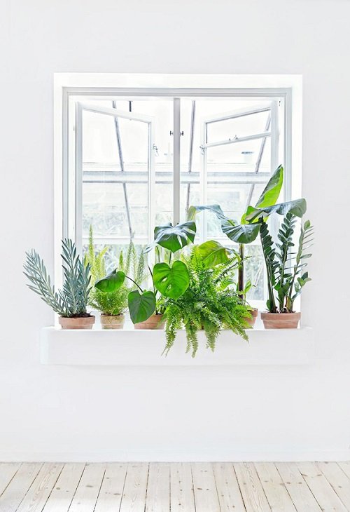 image of A Neatly Integrated Windowsill Planter