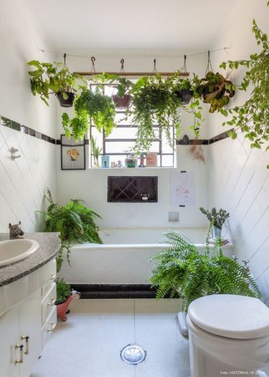 26 Genius Rental Bathroom Plant Decor Ideas | Balcony Garden Web