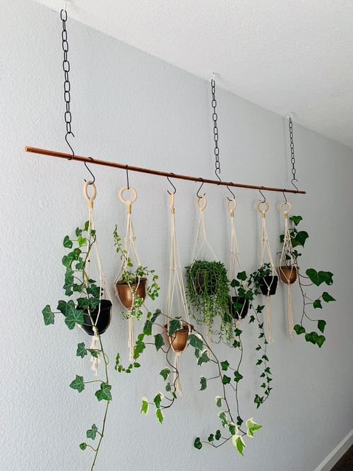  Plant Hanger with Rod, Chain, and S-Hooks