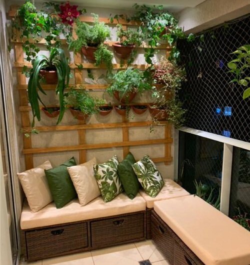 Indoor Plant Wall Decor Ideas 2