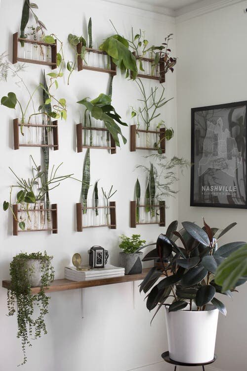 Indoor Plant Wall Decor Ideas 51