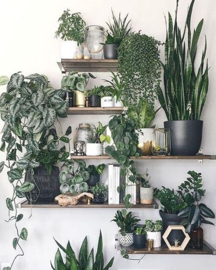 26 Creative Ways on How to Decorate Every Part of Your Home with Plants