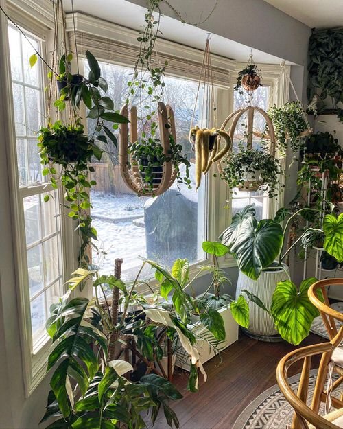  Vertical Garden Indoors ideas