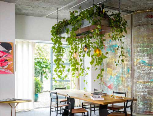 How to Decorate Every Part of Your Home with Plants 5