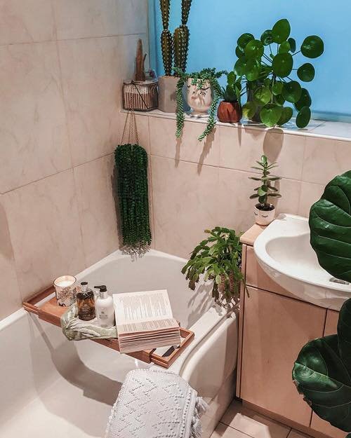 Rental Bathroom Plant Decor Ideas 3