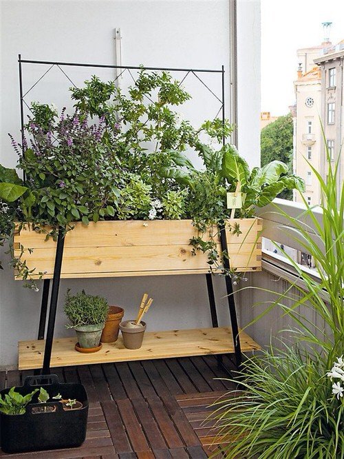 Balcony Kitchen Garden Ideas with Pictures10