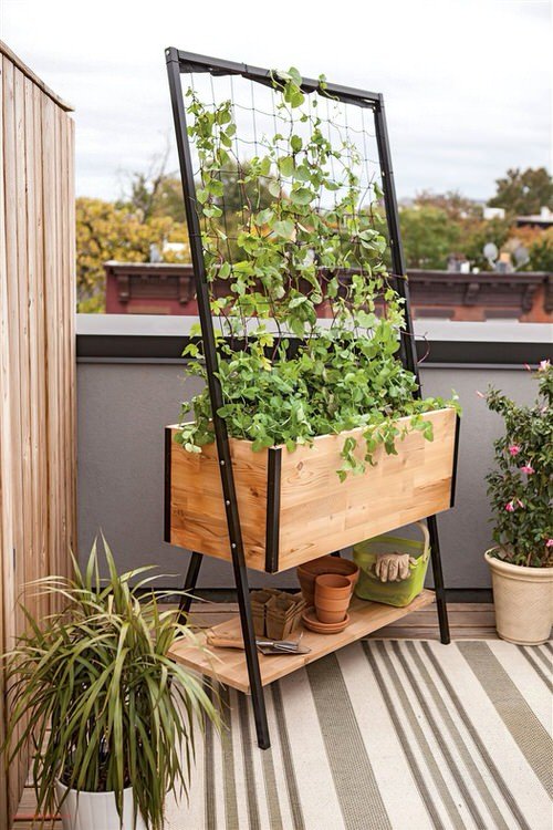 Balcony Kitchen Garden Ideas with Pictures 8