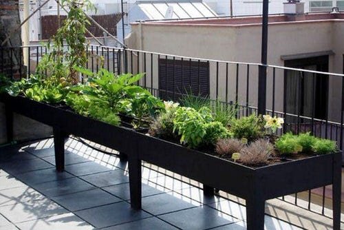 Long and Low Slung Table for Vegetables 