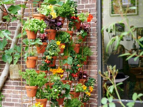 Vertical Metal Structure to Hang Pots of Vegetables and Herbs