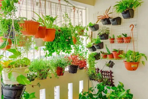 Hanging Vegetable Garden in a Balcony