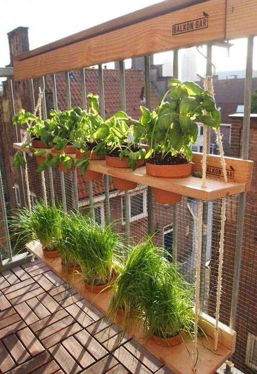 Hanging Garden for Herbs