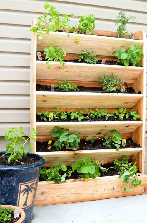 Balcony Kitchen Garden Ideas with Pictures 2