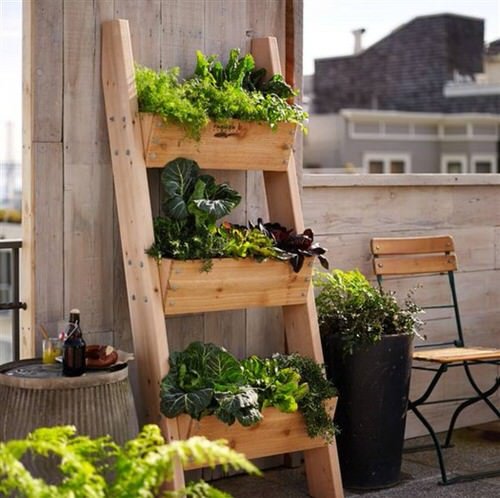 Balcony Kitchen Garden Ideas with Pictures 6 
