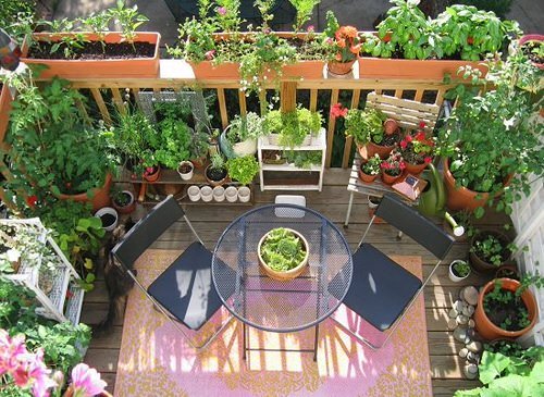 Balcony Kitchen Garden Ideas with Pictures 7