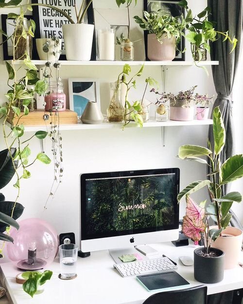 Green Home Office Desk Ideas with Plants 8